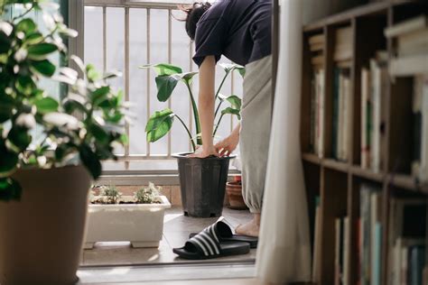 陽台種菜箱|17個陽台種菜大揭秘，學會後就不用去菜市場人擠人